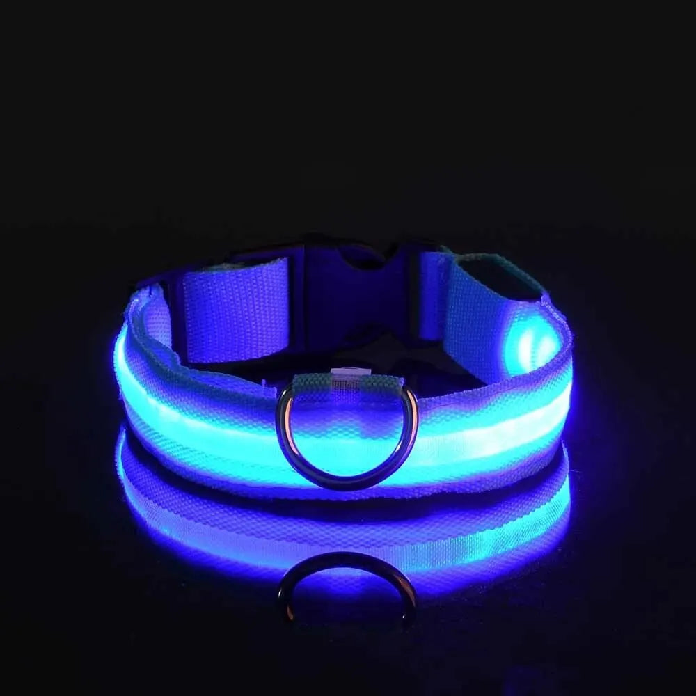Nylon LED Világító Kutyanyakörv