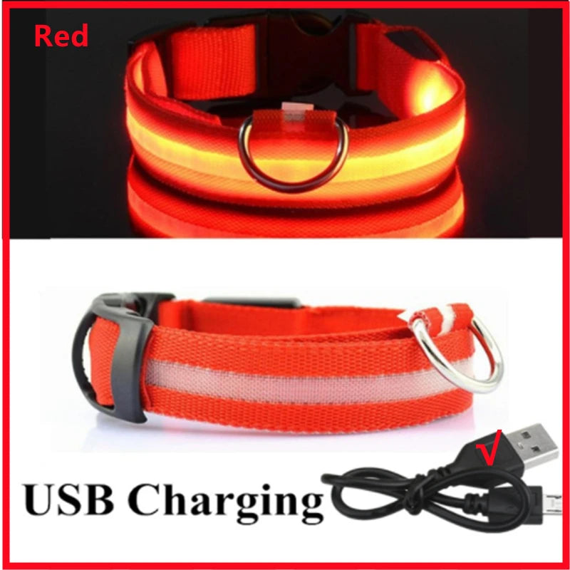 USB Tölthető Világító Kutyanyakörv