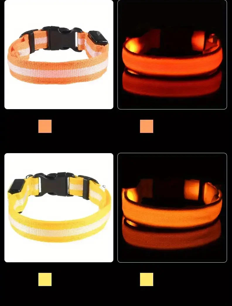 Nylon LED Világító Kutyanyakörv