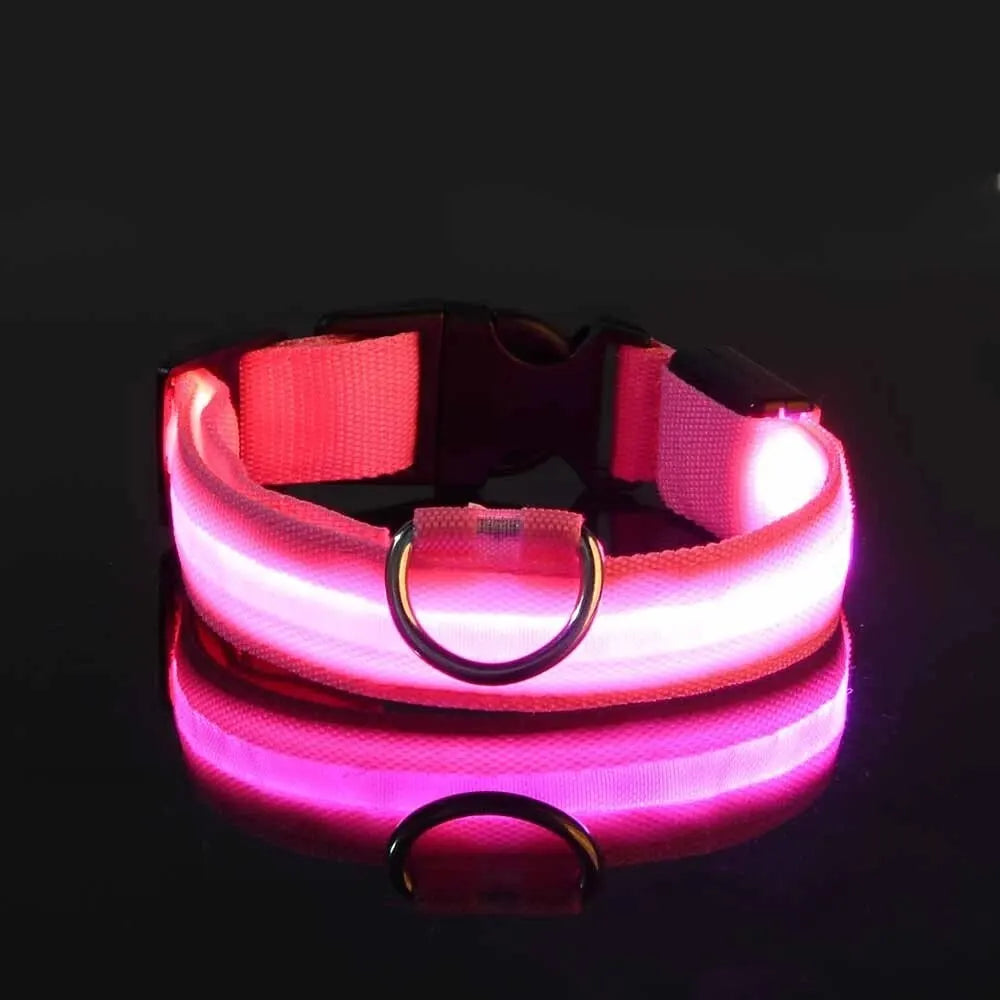 Nylon LED Világító Kutyanyakörv