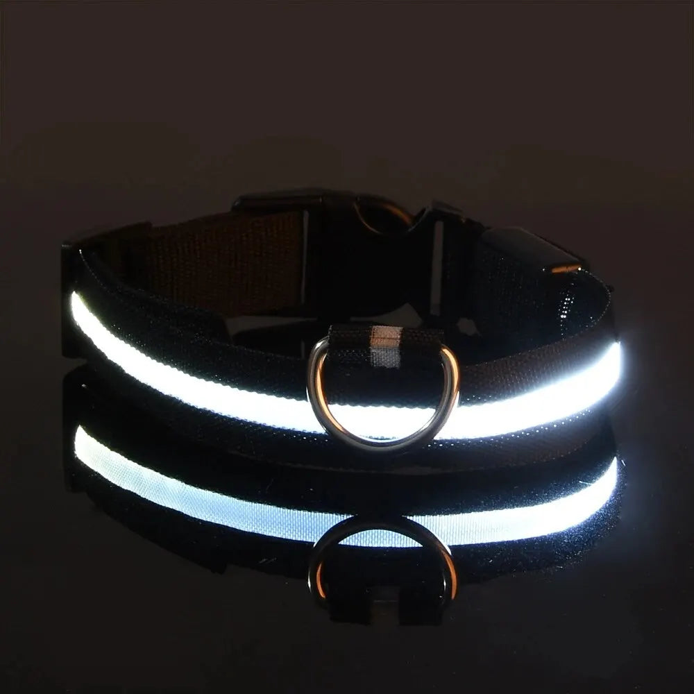 Nylon LED Világító Kutyanyakörv