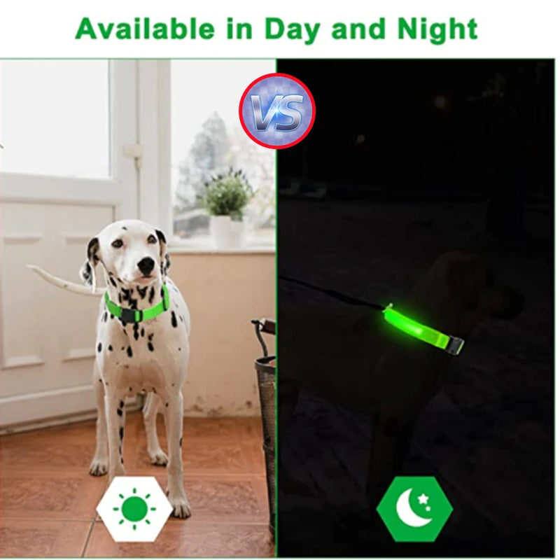 USB Tölthető Világító Kutyanyakörv