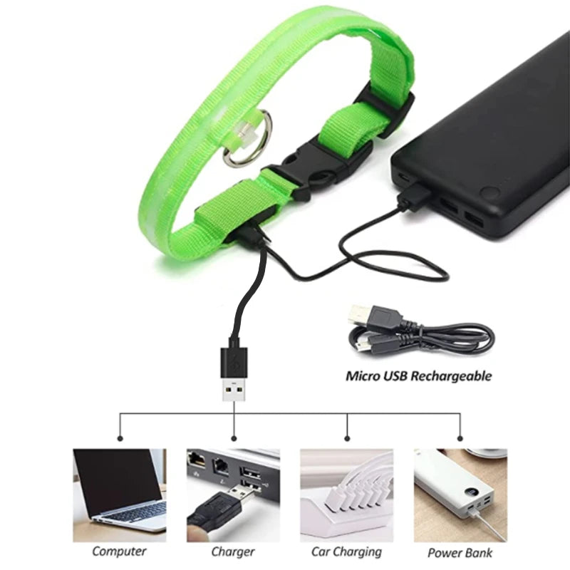 USB Tölthető Világító Kutyanyakörv