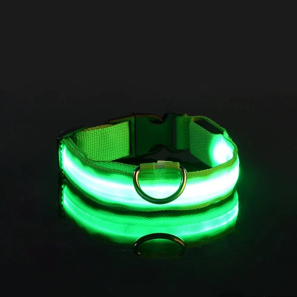 Nylon LED Világító Kutyanyakörv