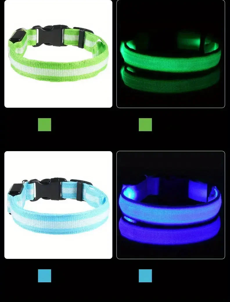 Nylon LED Világító Kutyanyakörv