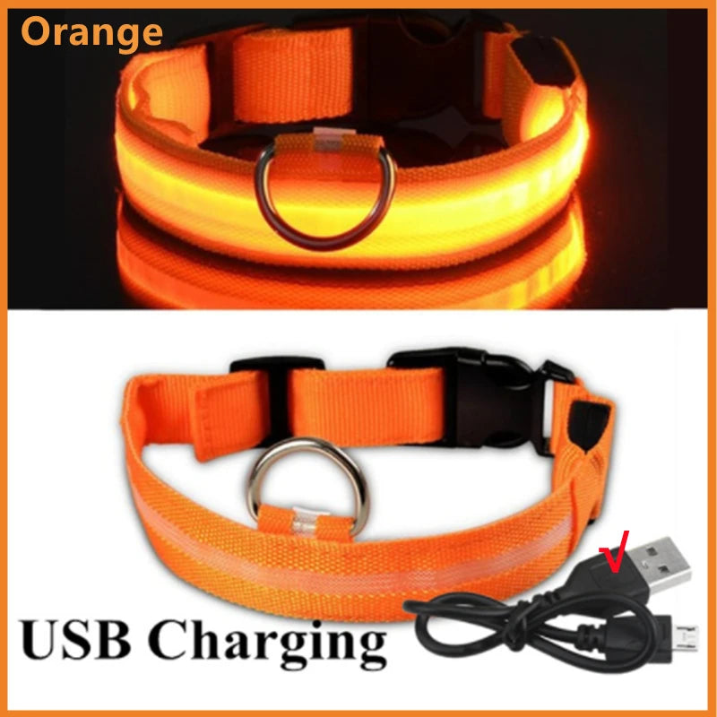 USB Tölthető Világító Kutyanyakörv
