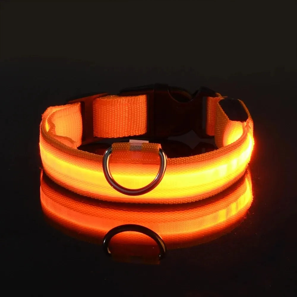 Nylon LED Világító Kutyanyakörv