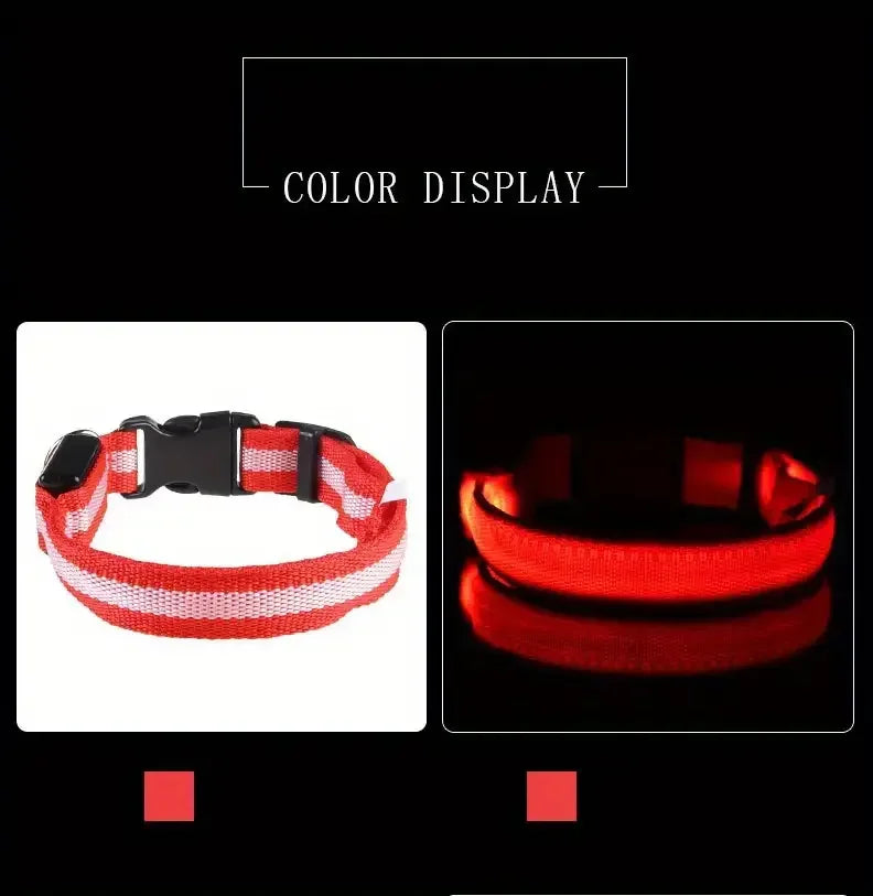 Nylon LED Világító Kutyanyakörv