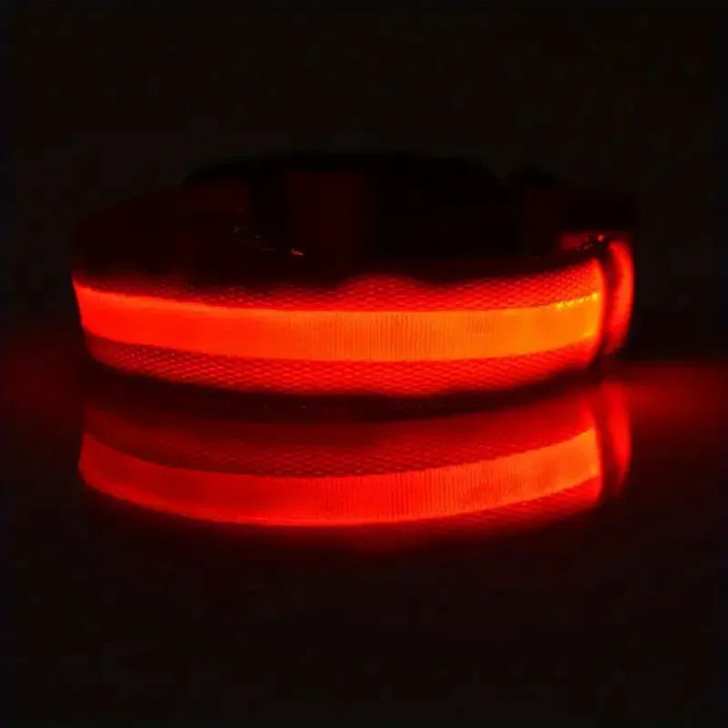 Nylon LED Világító Kutyanyakörv