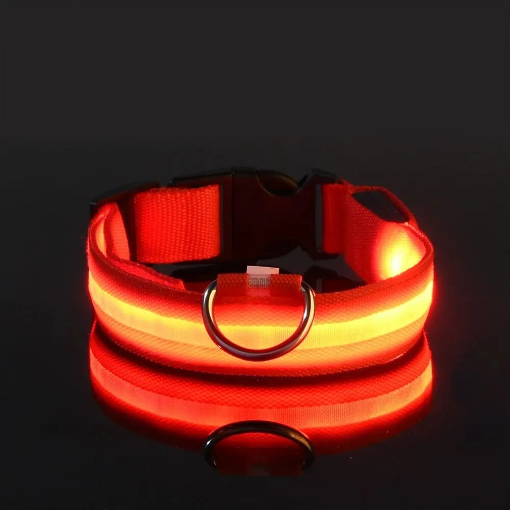Nylon LED Világító Kutyanyakörv
