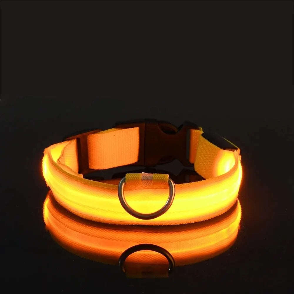 Nylon LED Világító Kutyanyakörv