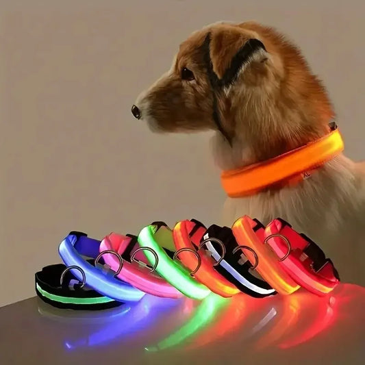 Nylon LED Világító Kutyanyakörv