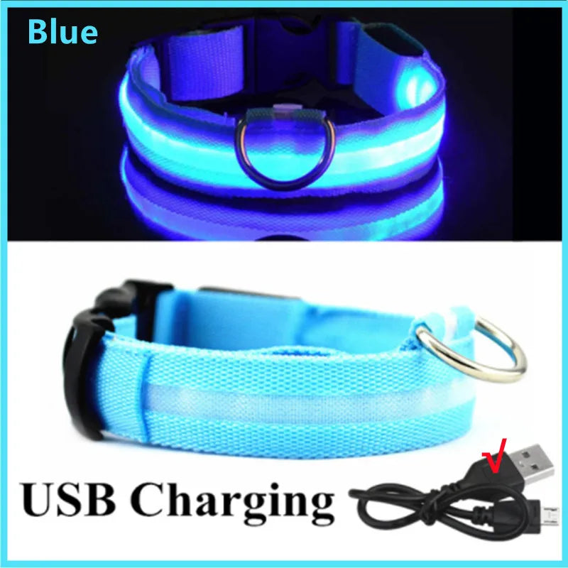USB Tölthető Világító Kutyanyakörv