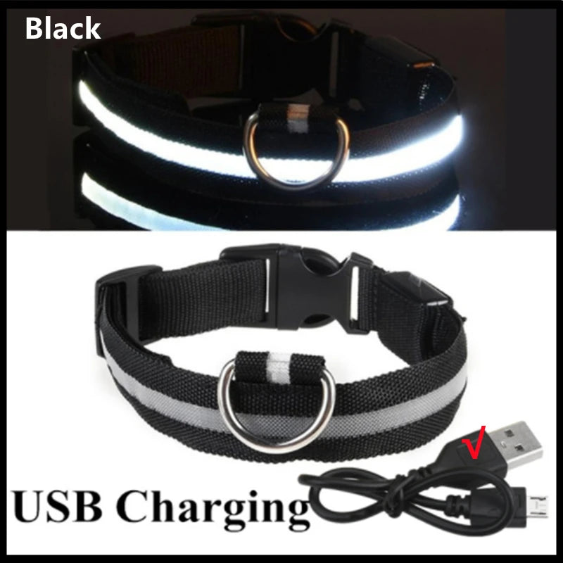 USB Tölthető Világító Kutyanyakörv