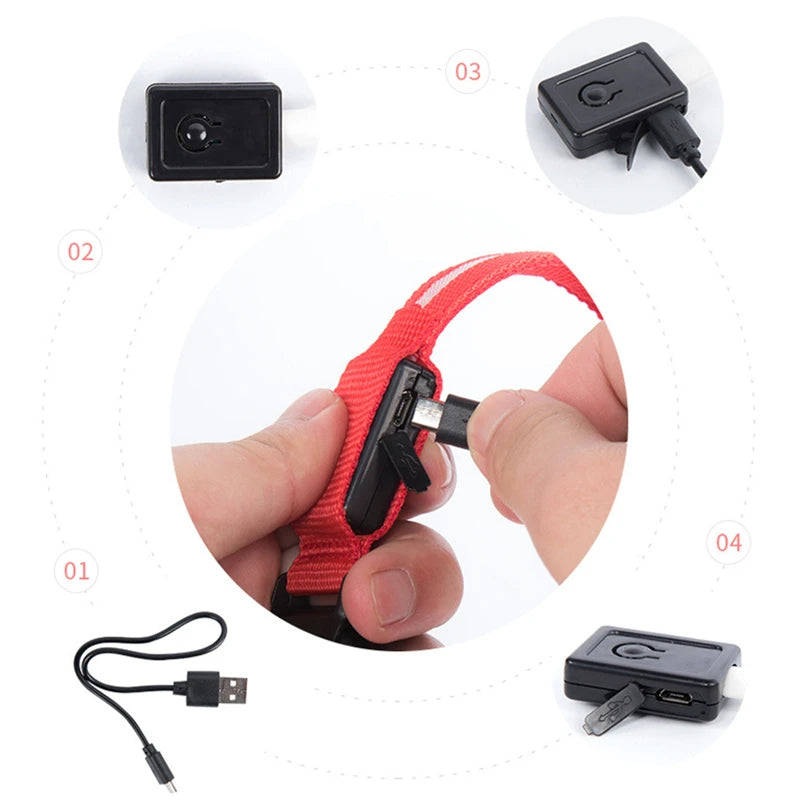 USB Tölthető Világító Kutyanyakörv