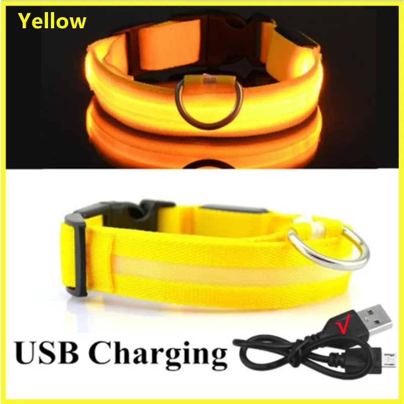USB Tölthető Világító Kutyanyakörv