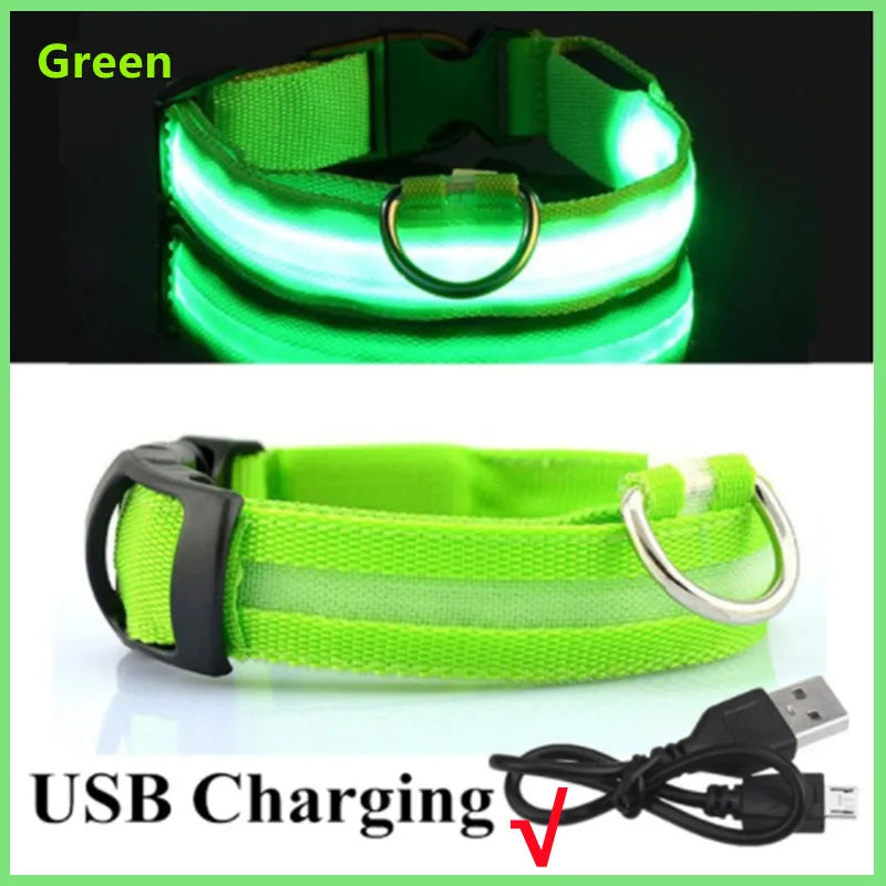 USB Tölthető Világító Kutyanyakörv