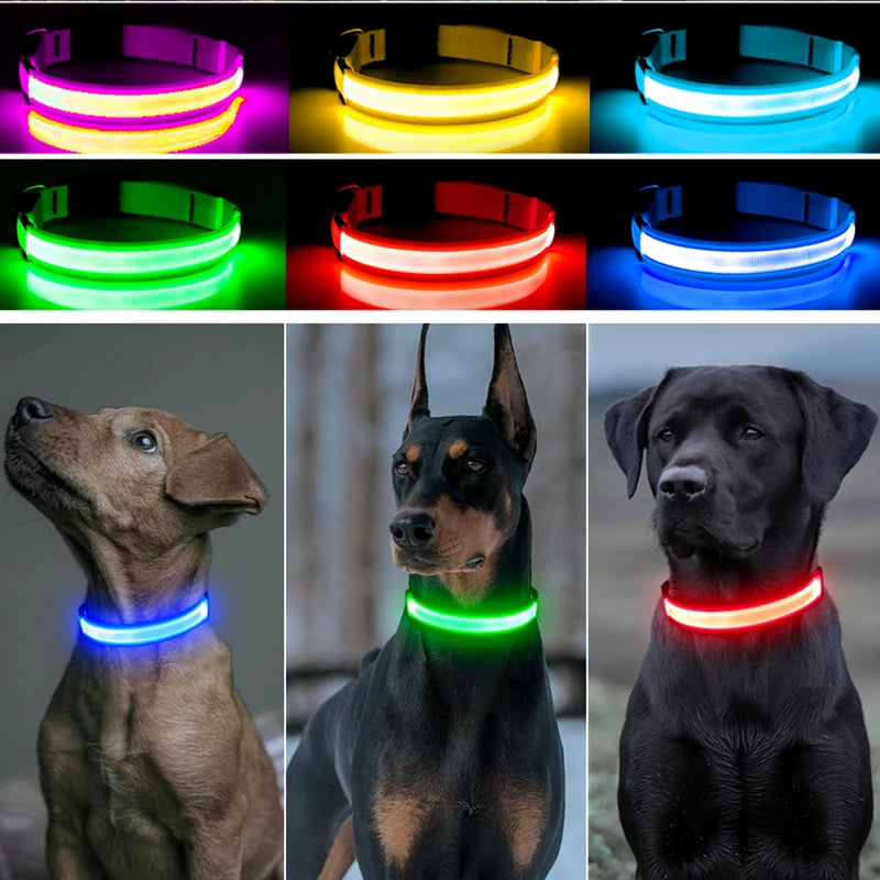 USB Tölthető Világító Kutyanyakörv